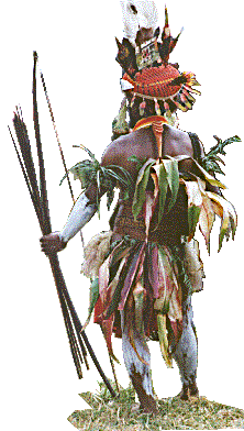 [Highlands warrior at the Mt. Hagen show, PNG, 1996 with long bow and arrows: 29k]