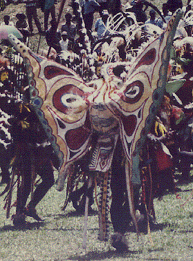 [dancer in full body red, blue, white and yellow butterfly tapa costume: 52k]