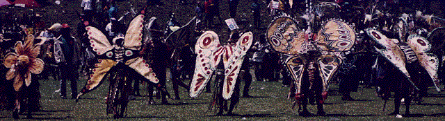 [4 tapa cloth butterfly and 1 tapa cloth flower costumed dancers: 53k]