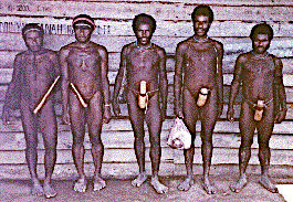 [Tiom and Dani men wearing gourd sheaths outside trade store in Wamena, Baliem Valley, Irian Jaya, Indonesia: 27k]