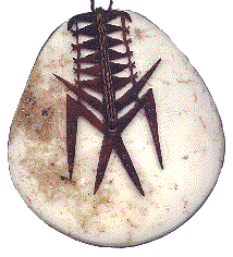 [tema shell pendant with frigate bird overlay: 16k]