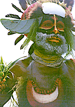 [Mt. Hagen warrior with kina shell bilas, red, black and yellow face paint, white lime accenting his beard: 53k]
