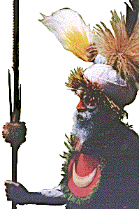 [Mt. Hagen warrior with barbed spear: 21k]